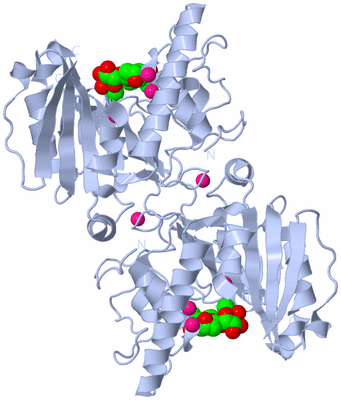 Image Biological Unit 2