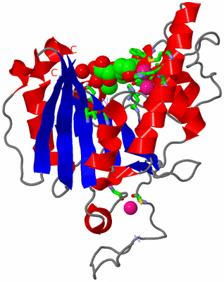 Image Asym. Unit - sites