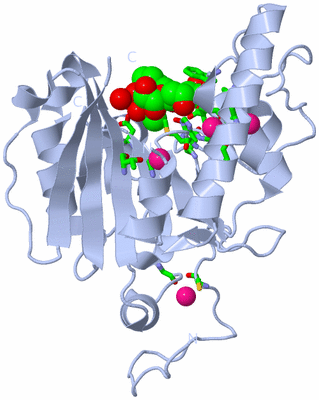 Image Biol. Unit 1 - sites