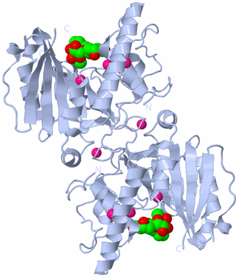 Image Biological Unit 2