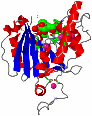 Image Asym. Unit - sites