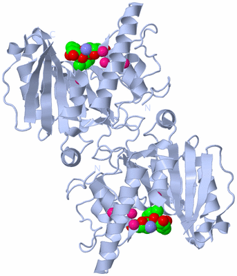 Image Biological Unit 2