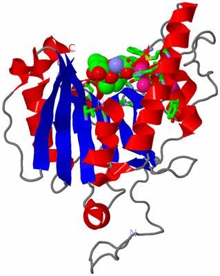 Image Asym. Unit - sites