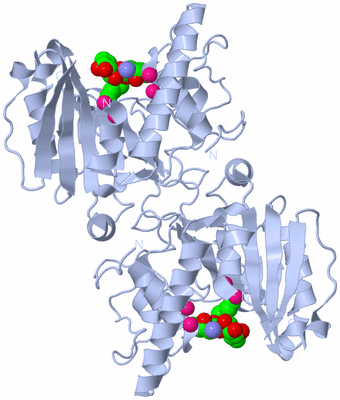 Image Biological Unit 2