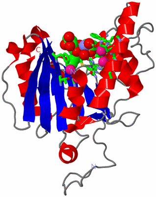 Image Asym. Unit - sites