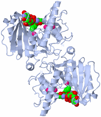 Image Biological Unit 2