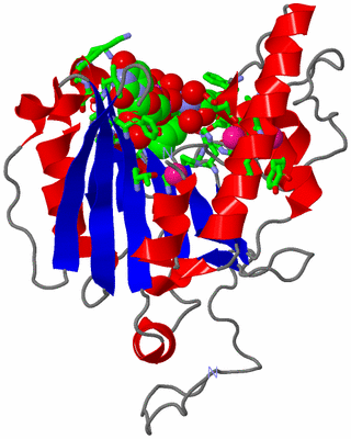 Image Asym. Unit - sites