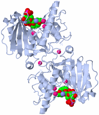 Image Biological Unit 2