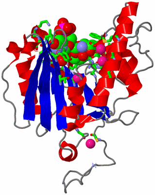 Image Asym. Unit - sites