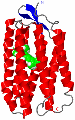 Image NMR Structure - all models