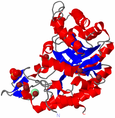 Image Asym./Biol. Unit