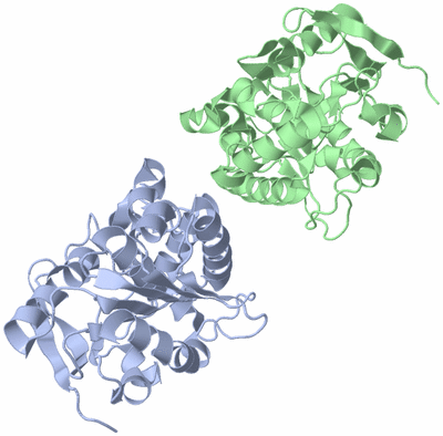 Image Asymmetric Unit