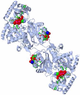 Image Biol. Unit 1 - sites