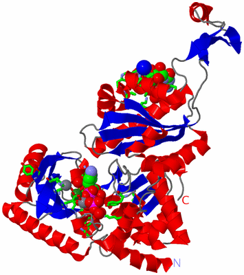 Image Asym. Unit - sites