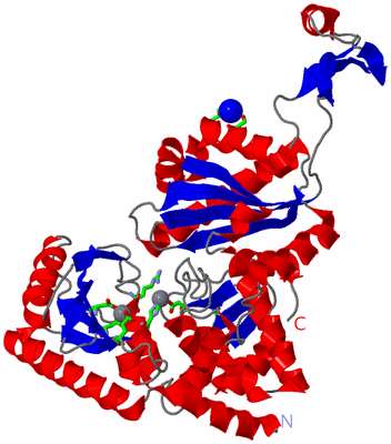 Image Asym. Unit - sites