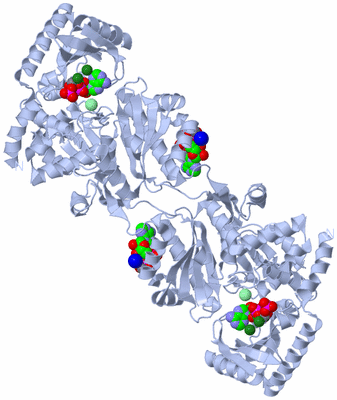 Image Biological Unit 1