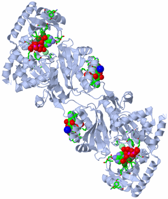 Image Biol. Unit 1 - sites