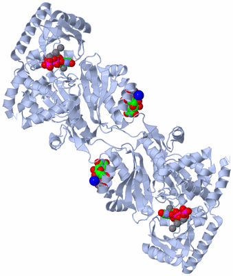 Image Biological Unit 1