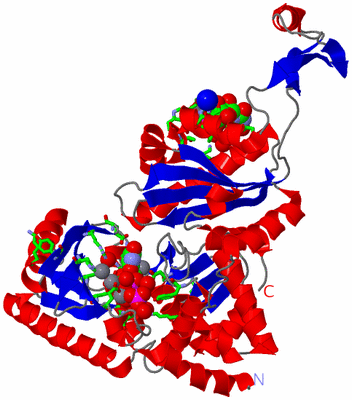 Image Asym. Unit - sites