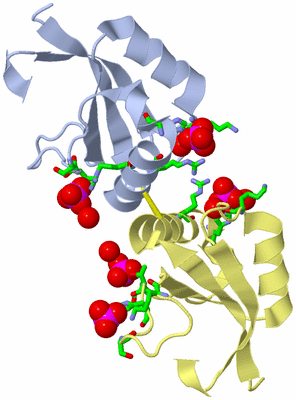 Image Biol. Unit 1 - sites