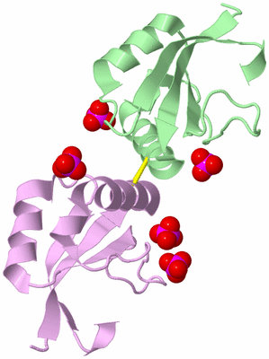 Image Biological Unit 2