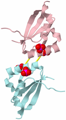 Image Biological Unit 3