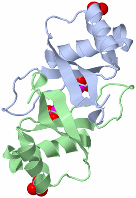 Image Biological Unit 5