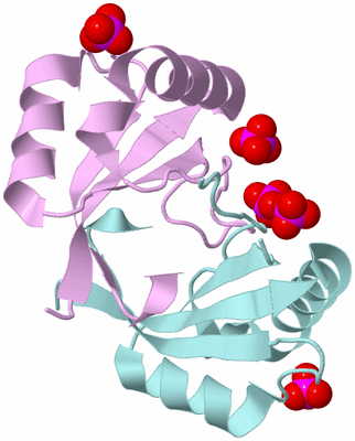 Image Biological Unit 6