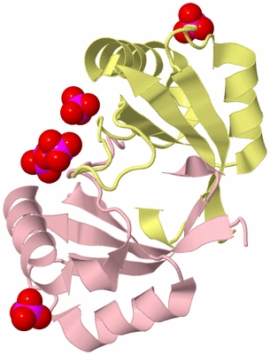 Image Biological Unit 7