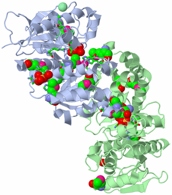 Image Asym./Biol. Unit - sites