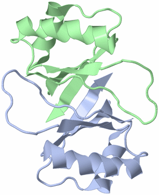 Image NMR Structure - model 1