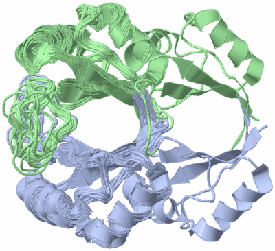 Image NMR Structure - all models