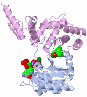 Image Biological Unit 1