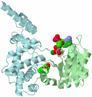 Image Biological Unit 2