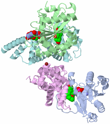 Image Biological Unit 3