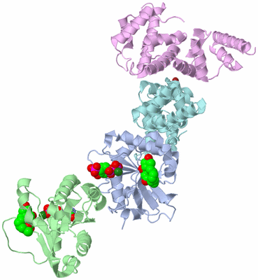 Image Biological Unit 4