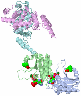 Image Biological Unit 5