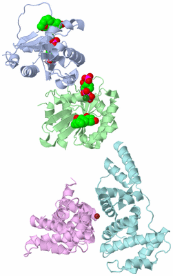 Image Biological Unit 6