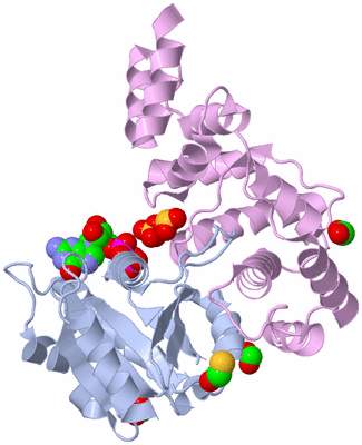 Image Biological Unit 1