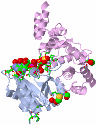 Image Biol. Unit 1 - sites