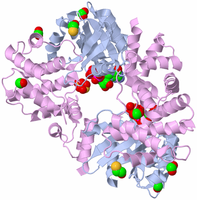 Image Biological Unit 2