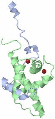 Image NMR Structure - model 1