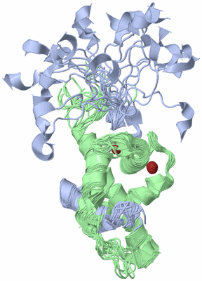 Image NMR Structure - all models