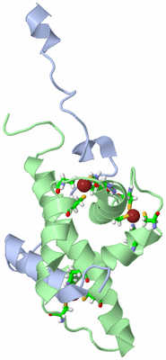 Image NMR Structure - model 1, sites