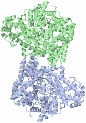 Image Asym./Biol. Unit