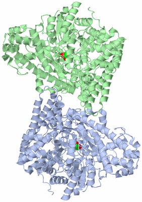 Image Asym./Biol. Unit