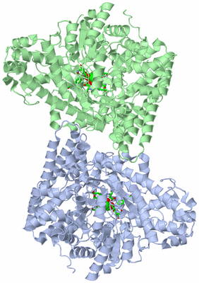 Image Asym./Biol. Unit - sites