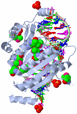 Image Biological Unit 1