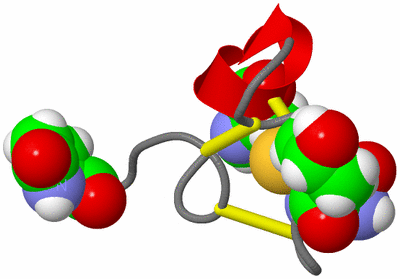 Image NMR Structure - model 1