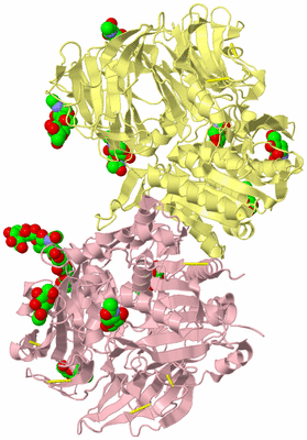 Image Biological Unit 2